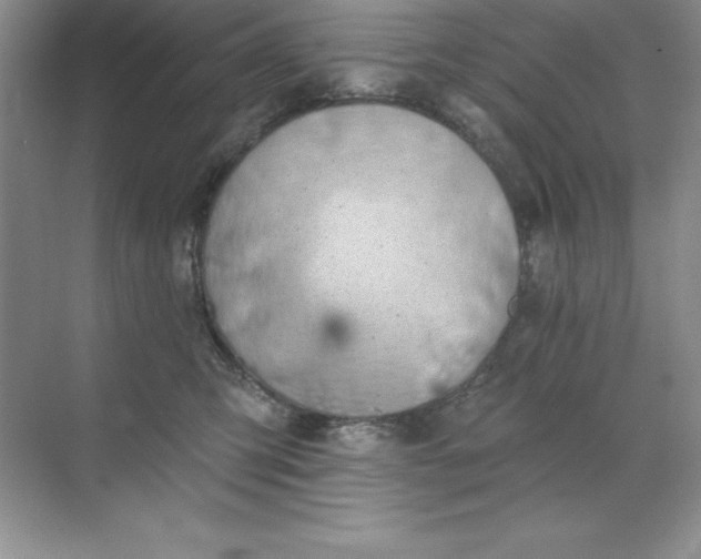 X0000071940423200607212205