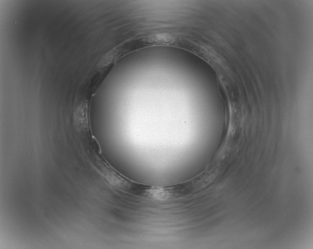 X0000071940425200607212205