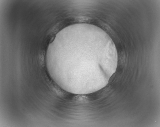 X0000071940427200607212205