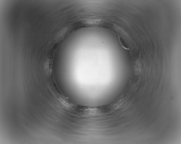 X0000071940428200607212205