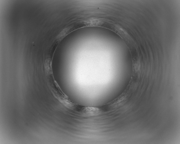 X0000071940429200607212205