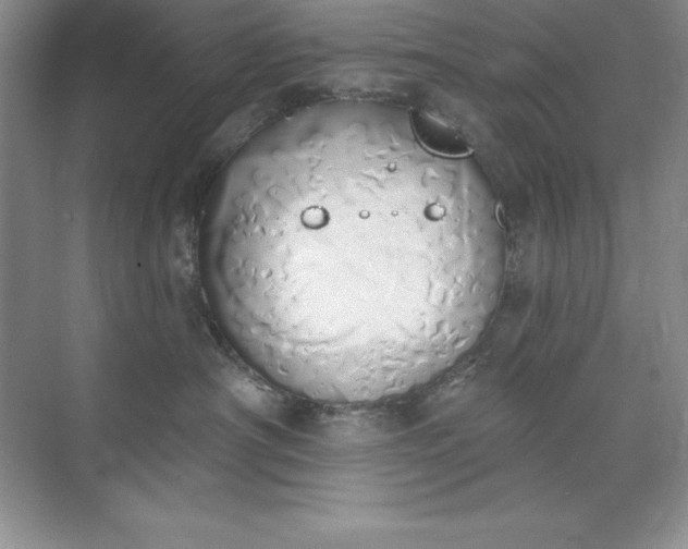 X0000071940430200607212205