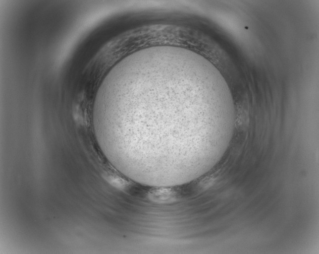 X0000071940431200607212205