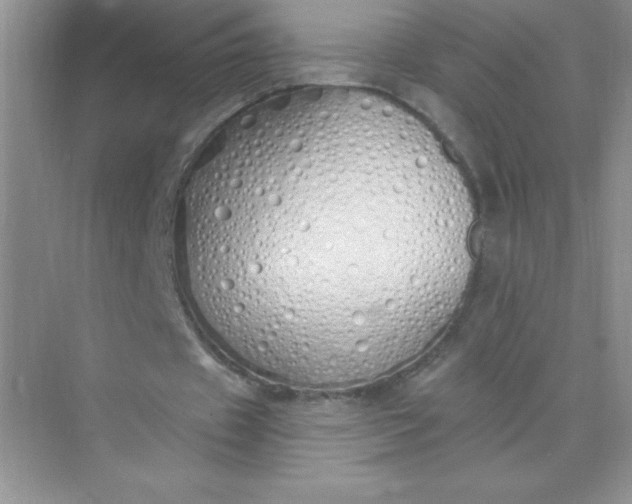 X0000071940433200607212204