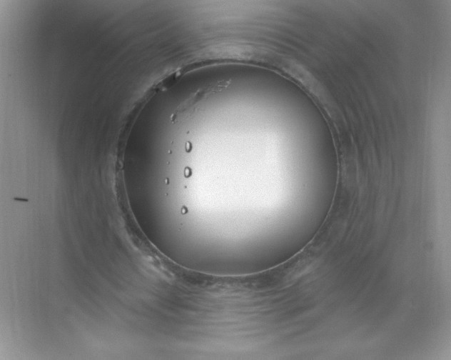 X0000071940434200607212204