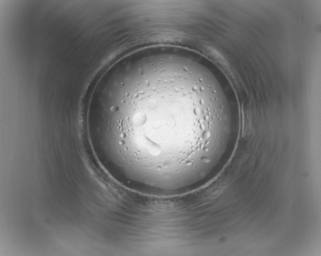 X0000071940435200607212204