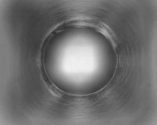 X0000071940436200607212204