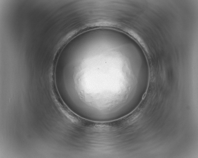 X0000071940437200607212204