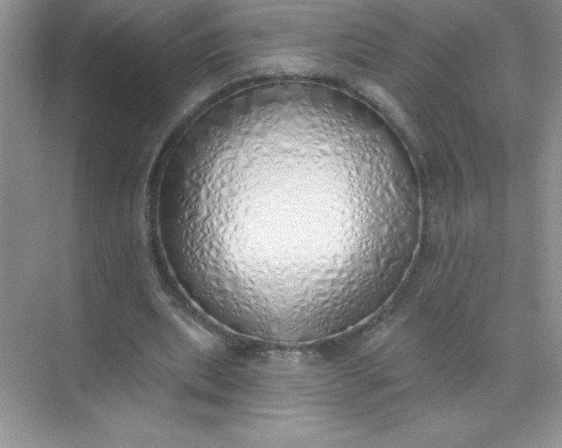 X0000071940439200607212204