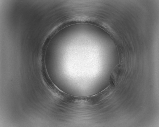 X0000071940440200607212204