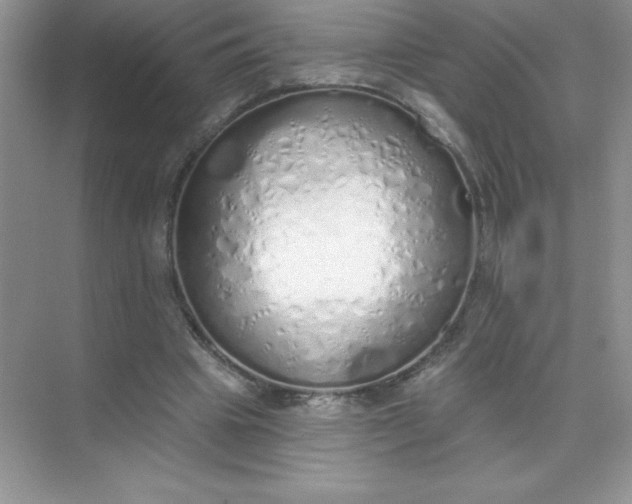 X0000071940441200607212204