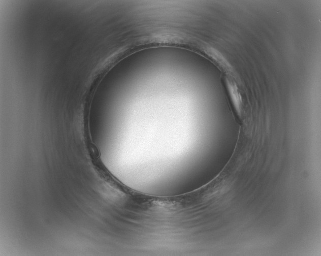 X0000071940442200607212204