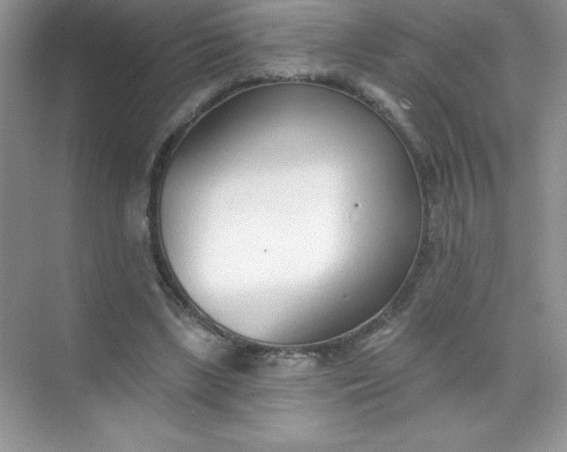 X0000071940443200607212204