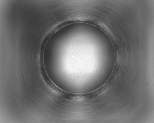 X0000071940444200607212205