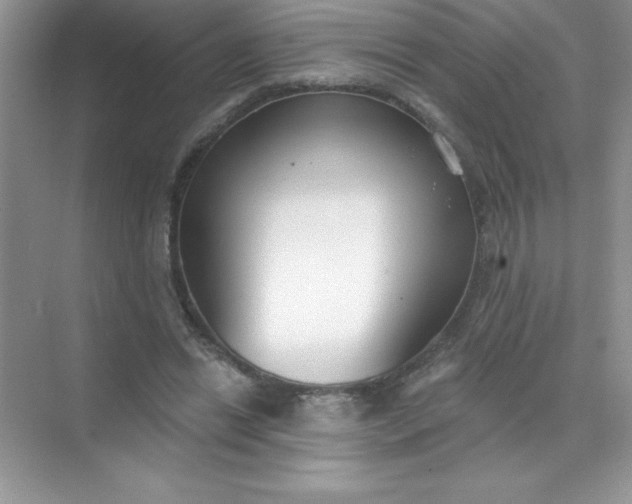 X0000071940446200607212205