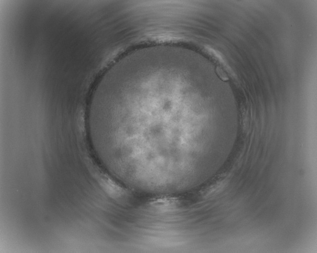 X0000071940447200607212205