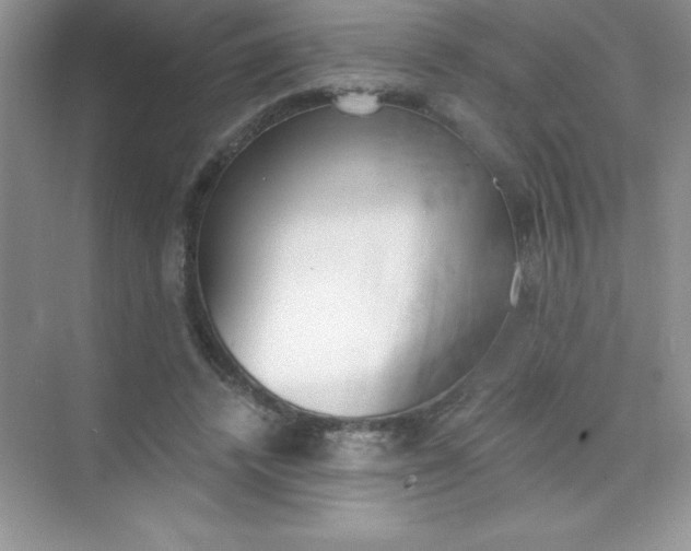 X0000071940448200607212205