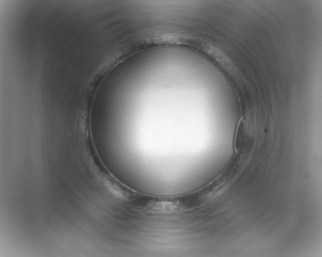 X0000071940449200607212205