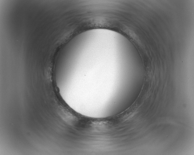 X0000071940450200607212205