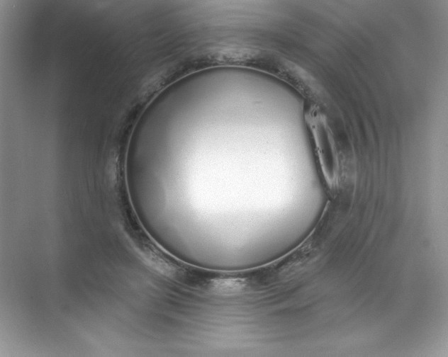 X0000071940451200607212205