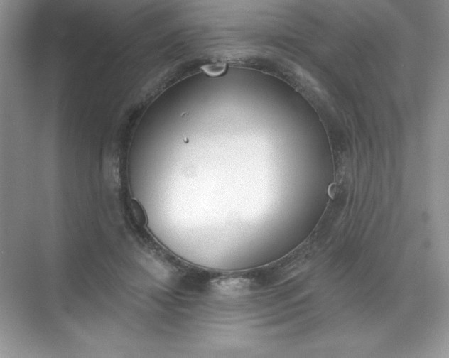 X0000071940452200607212205