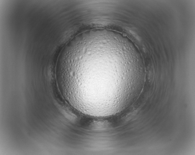 X0000071940455200607212205