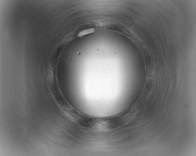 X0000071940456200607212205