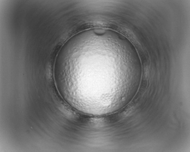 X0000071940457200607212205