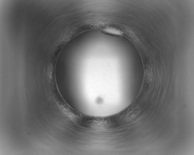 X0000071940458200607212205