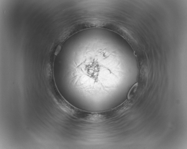 X0000071940459200607212205