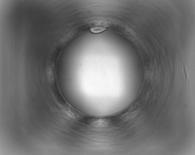 X0000071940460200607212205