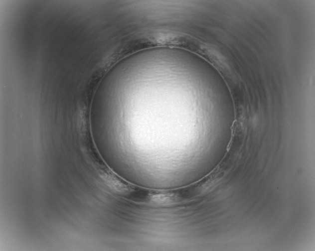 X0000071940461200607212205