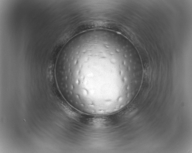 X0000071940462200607212205