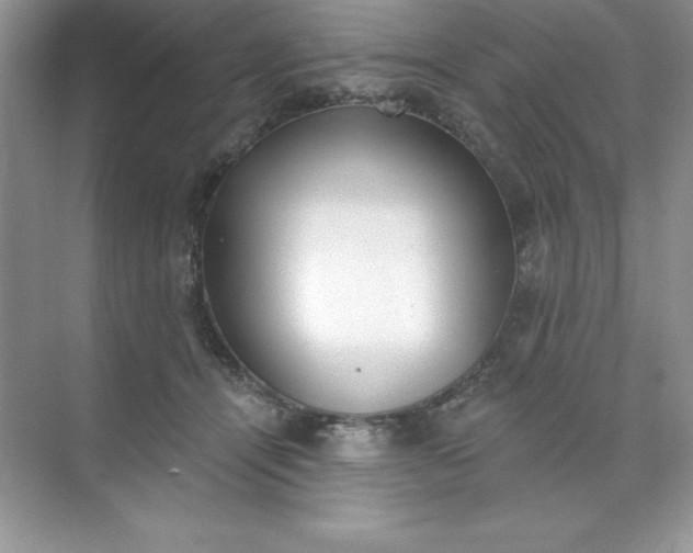 X0000071940464200607212205