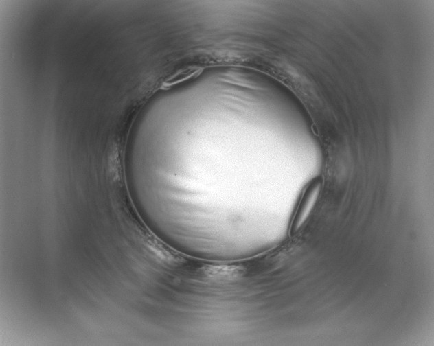 X0000071940465200607212205