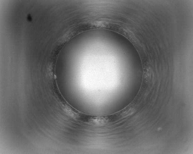 X0000071940466200607212205