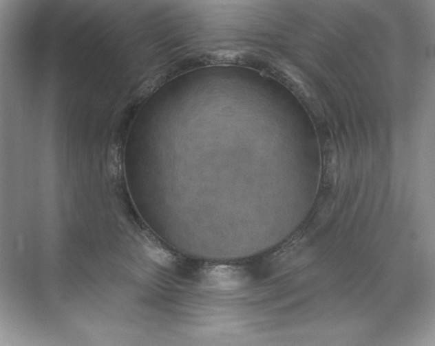 X0000071940467200607212205