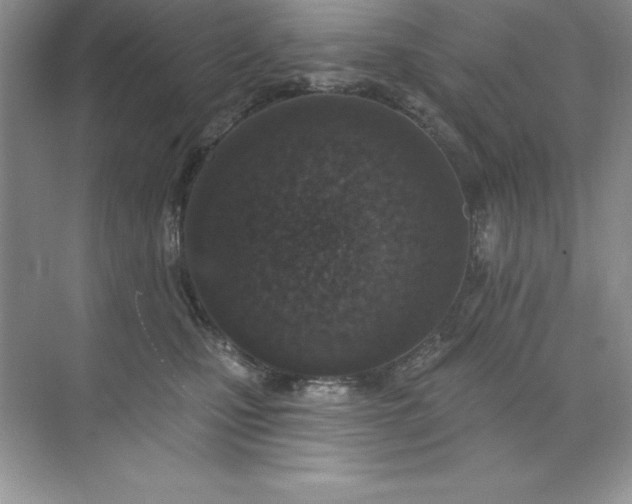 X0000071940471200607212205