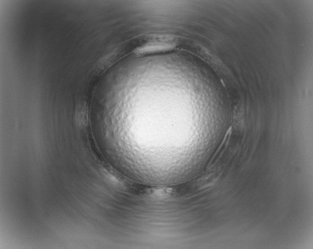 X0000071940474200607212205