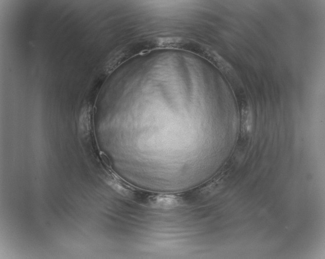 X0000071940475200607212205