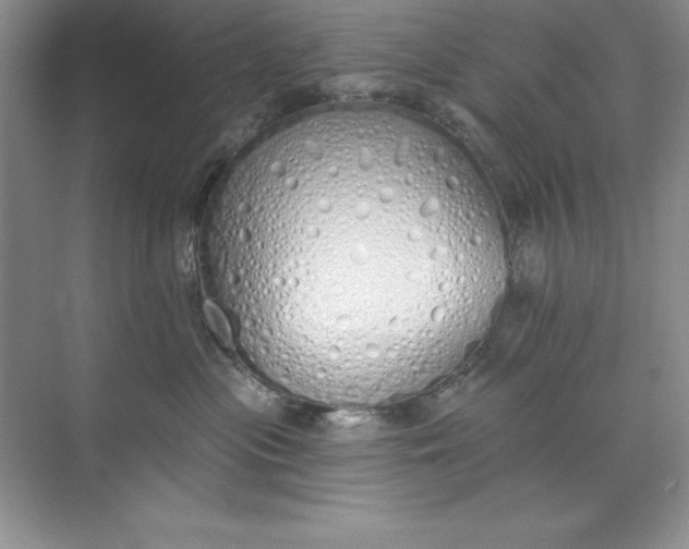 X0000071940477200607212205