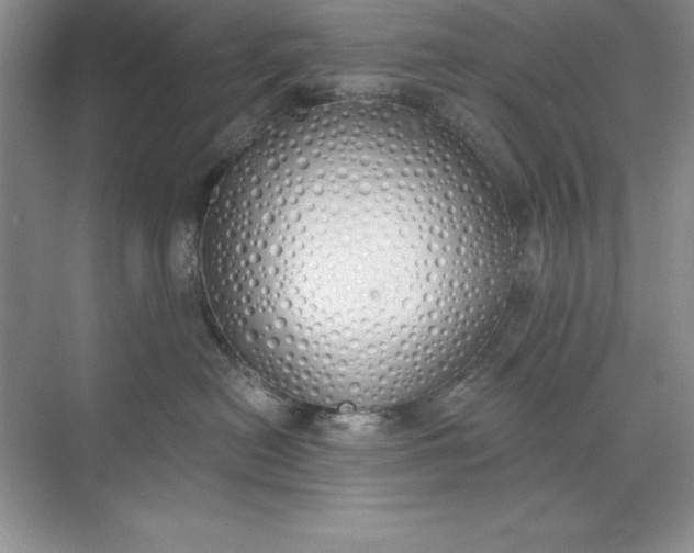 X0000071940478200607212205