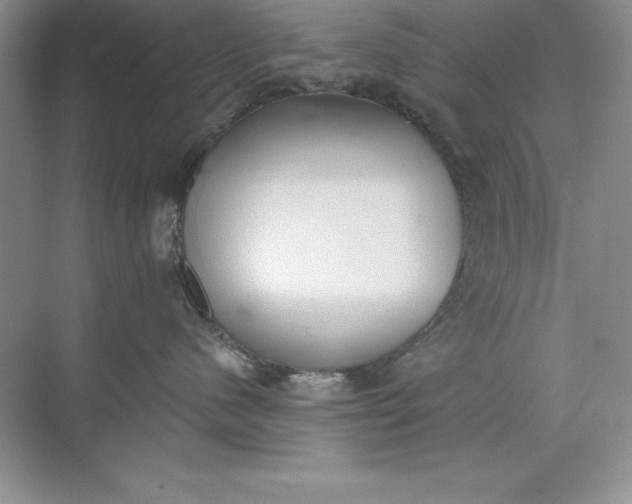 X0000071940480200607212205