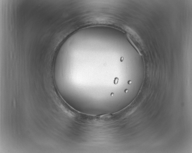 X0000071940481200607212204