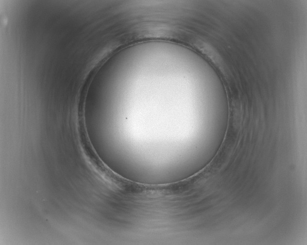 X0000071940482200607212204