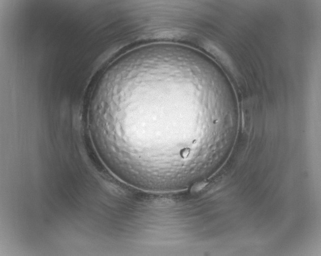 X0000071940483200607212204