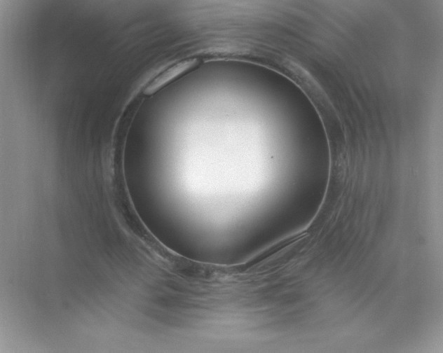 X0000071940484200607212204