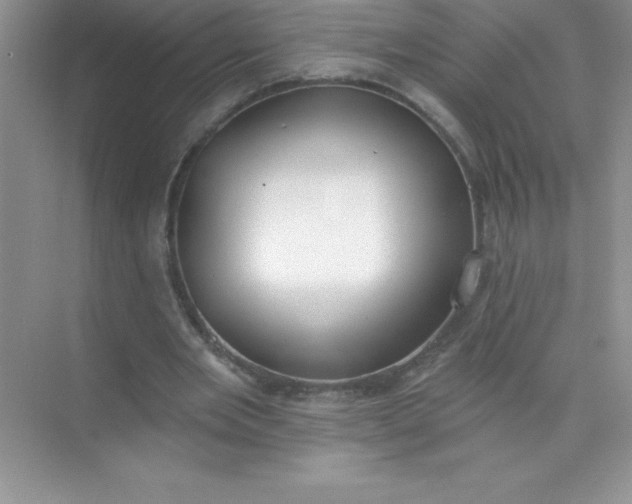 X0000071940485200607212204