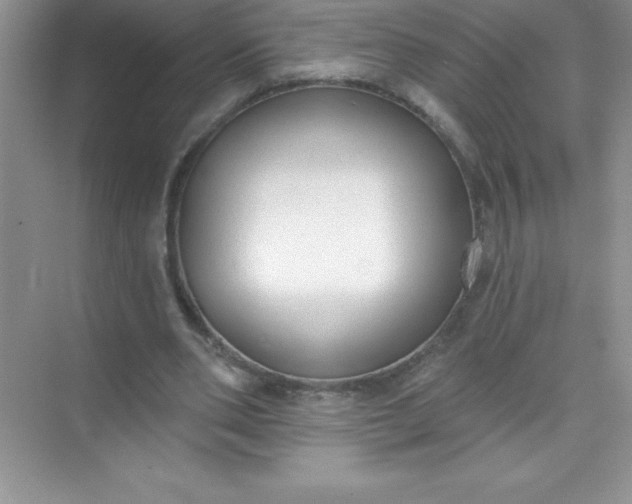 X0000071940486200607212204