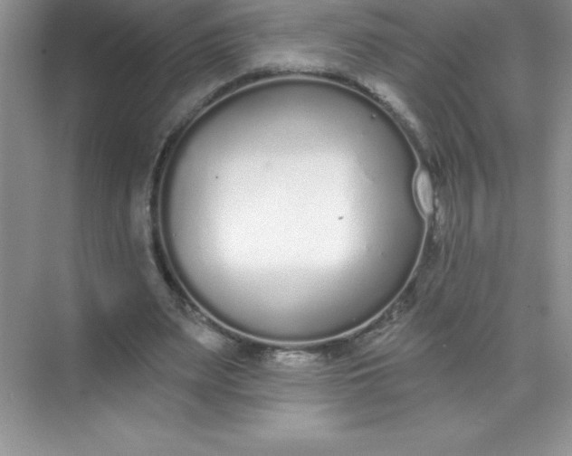 X0000071940487200607212204